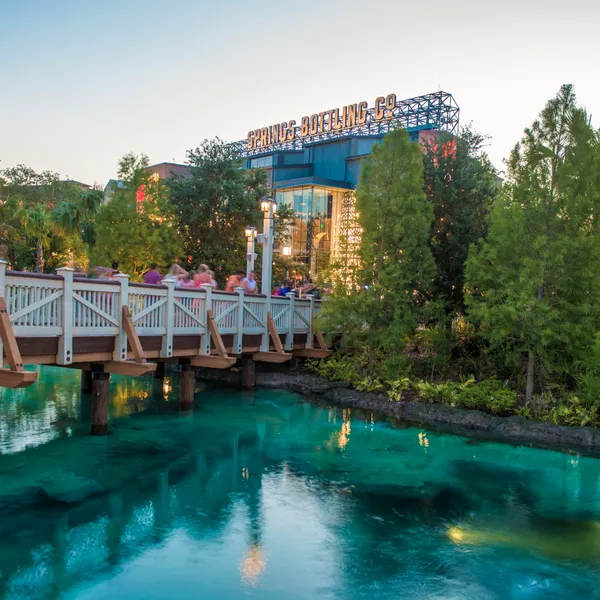 Disney Springs