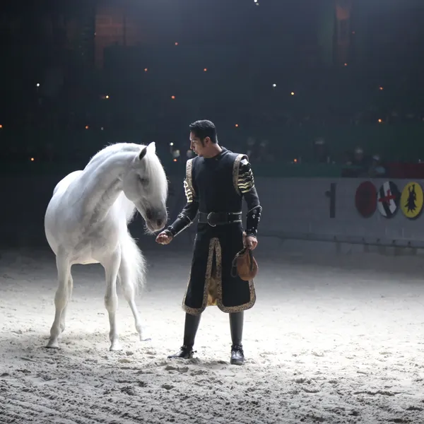 liberty horse with the horse trainer, an act in the show where an Andalusian stallion performs without a harness or human touch