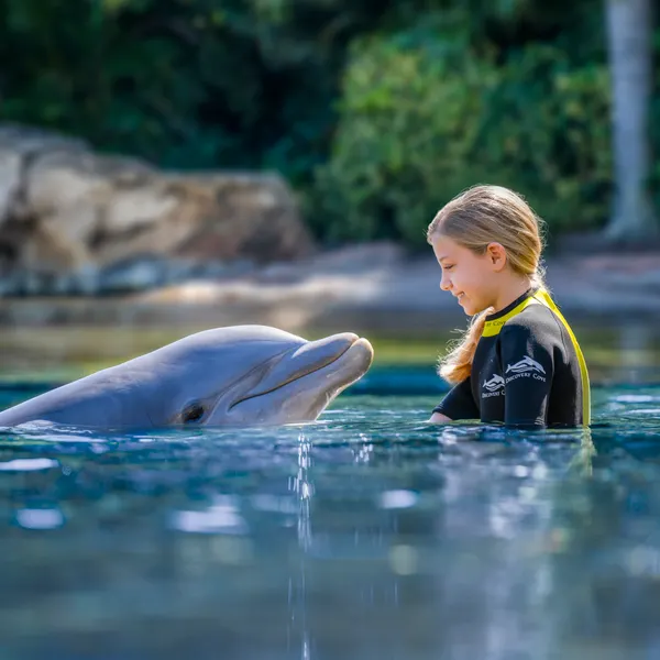Girl with Dolphin