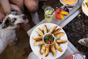 Pups Love the Patio