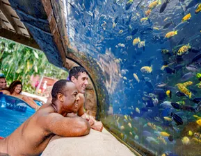 APO Fish Grotto
