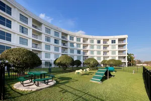 Melia 37