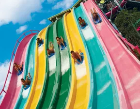 Teens on Taumata Racer