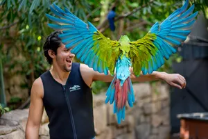 Aviary