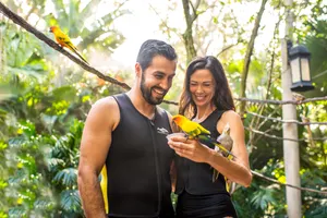 Aviary Couple
