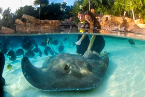 Grand Reef 2
