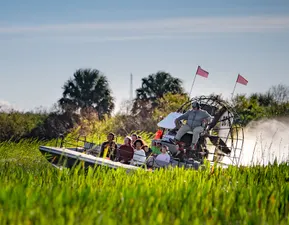 Airboat Tall Grass