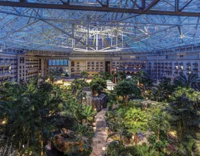 Gaylord Palms Atrium