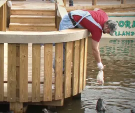 Gator Jumparoo Show