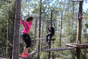 Tree Trek