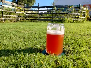 Violet's Blushful Ale is a summer favorite - a light lager with the taste of hibiscus.