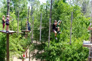 Tree Trek