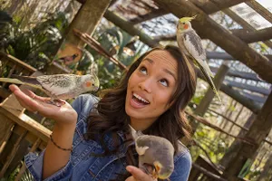Animal Encounter