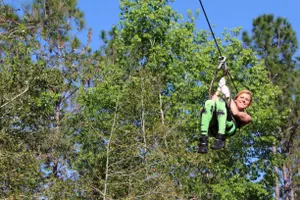 Tree Trek
