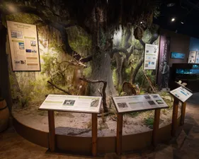 Osceola County Welcome Center & History Museum