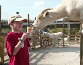 Gatorland Petting Zoo