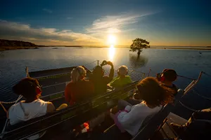 Experience the thrill and adventure of a sunset on the water with us. From the moment you board our airboat, you will be surrounded by picturesque views and sounds of nature. Enjoy a relaxing yet thrilling experience as you glide towards the horizon.