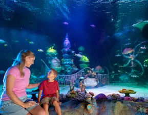 SEA LIFE Florida Theme Park Under the Sea