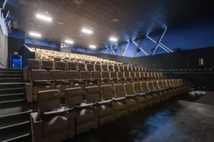 Luxury Reclining seats with dining tables (not pictured handicapped seating)