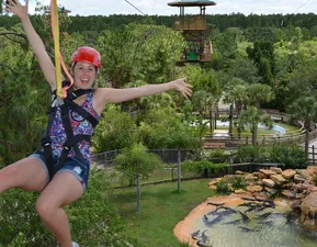 Screamin' Gator Zipline of Alligators