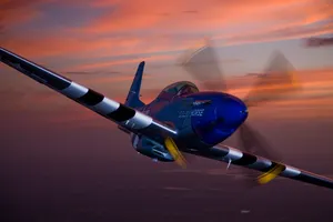 Stallion 51