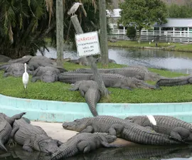 Warning Trespassers Will Be Eaten