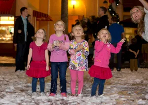 Now Snowing in Celebration