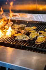 Oysters