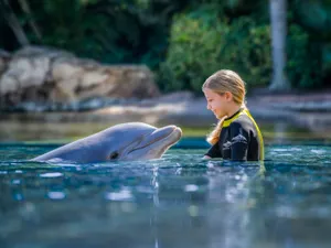 Girl with Dolphin