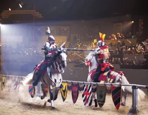 A joust between the black and white knight versus the red and yellow knight in the grand ceremonial arena in a tournament to become champion.