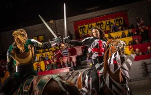 sword fight on horseback between the black and white knight and the green knight
