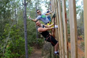 Tree Trek