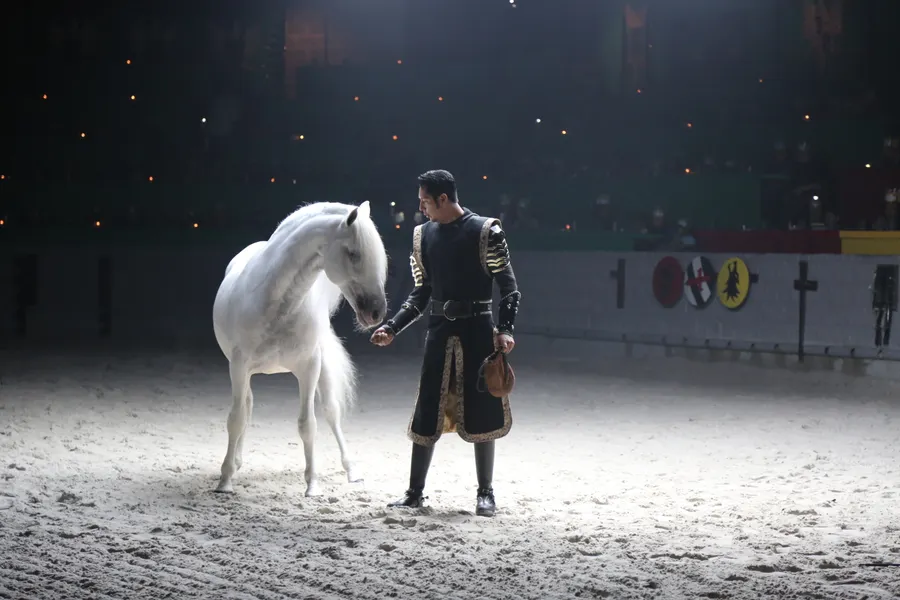 liberty horse with the horse trainer, an act in the show where an Andalusian stallion performs without a harness or human touch