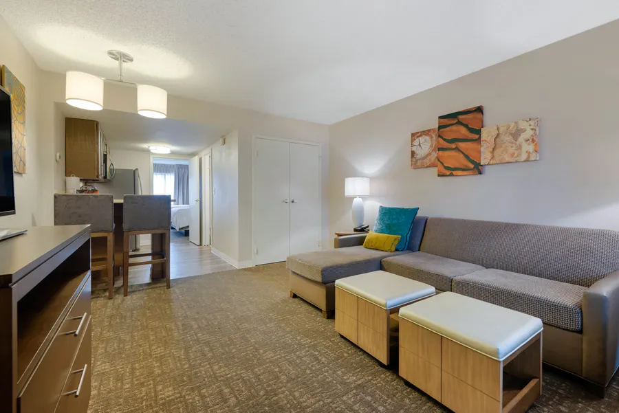 Living and kitchen area