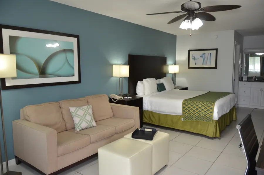 1King Bed, Couch, Desk, Dresser with TV & mini-fridge.