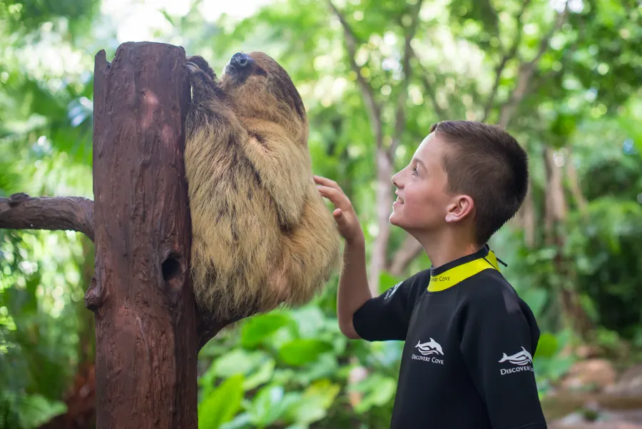 Sloth