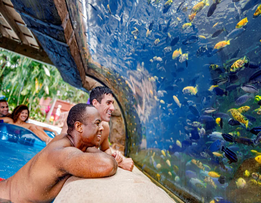 APO Fish Grotto