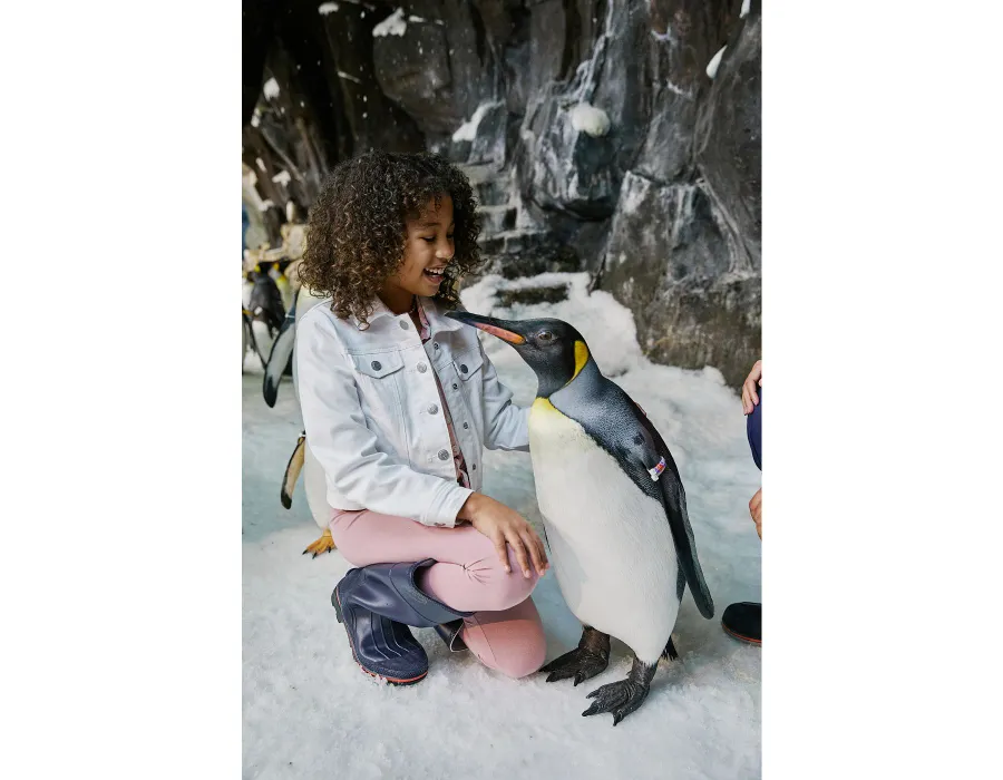 Penguin and girl