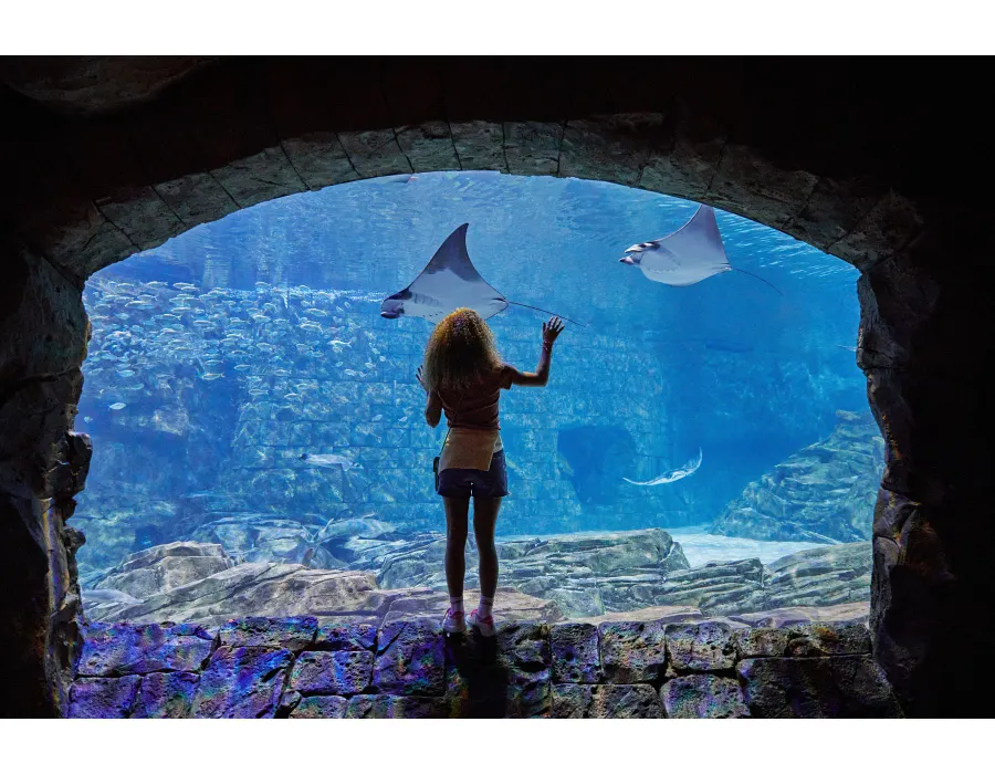 Ray and girl