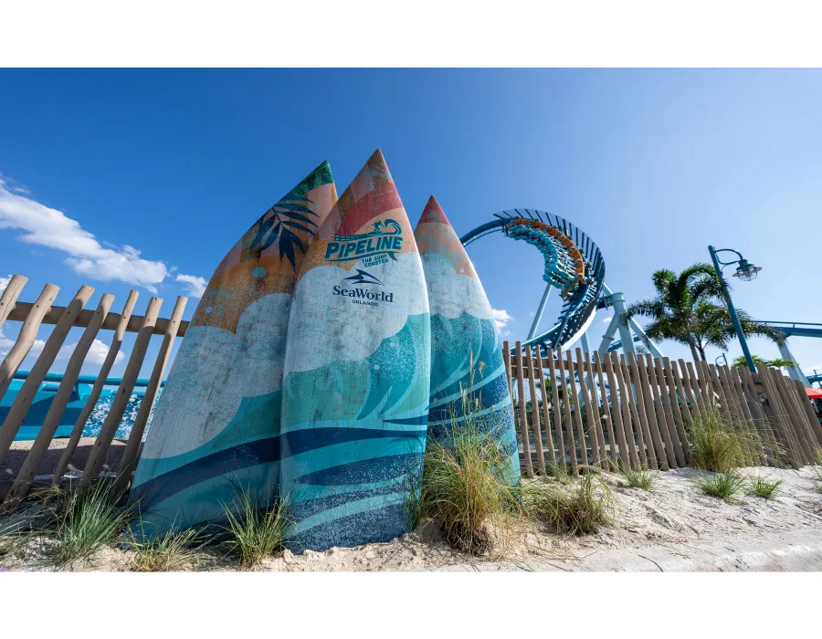 Pipeline surf coaster surfboard sign