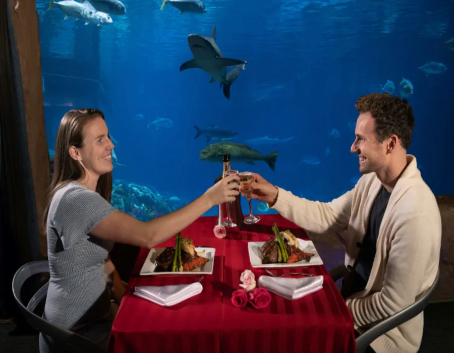 Sharks Underwater Grill at SeaWorld Orlando
