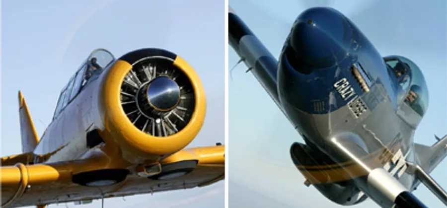 image 1 and 10