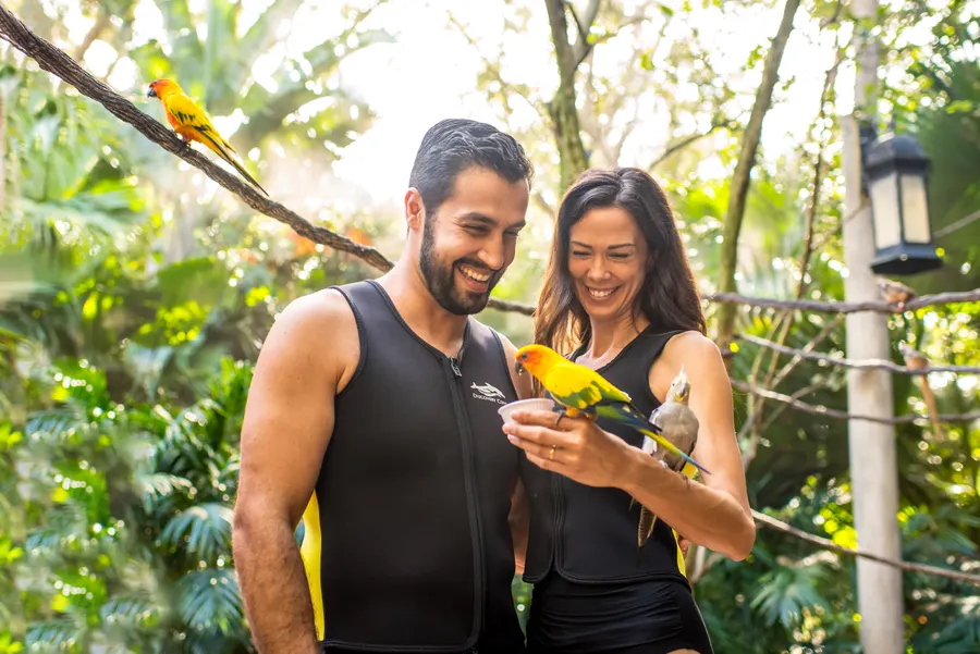 Aviary Couple