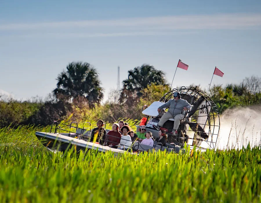 Airboat Tall Grass