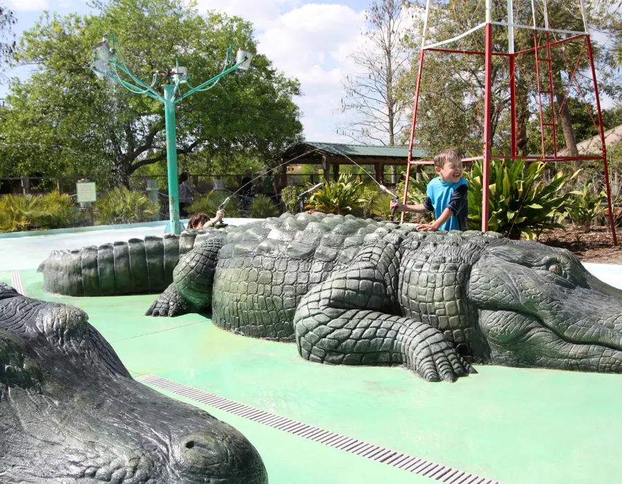 Water Guns at Gator Gully Splash Park