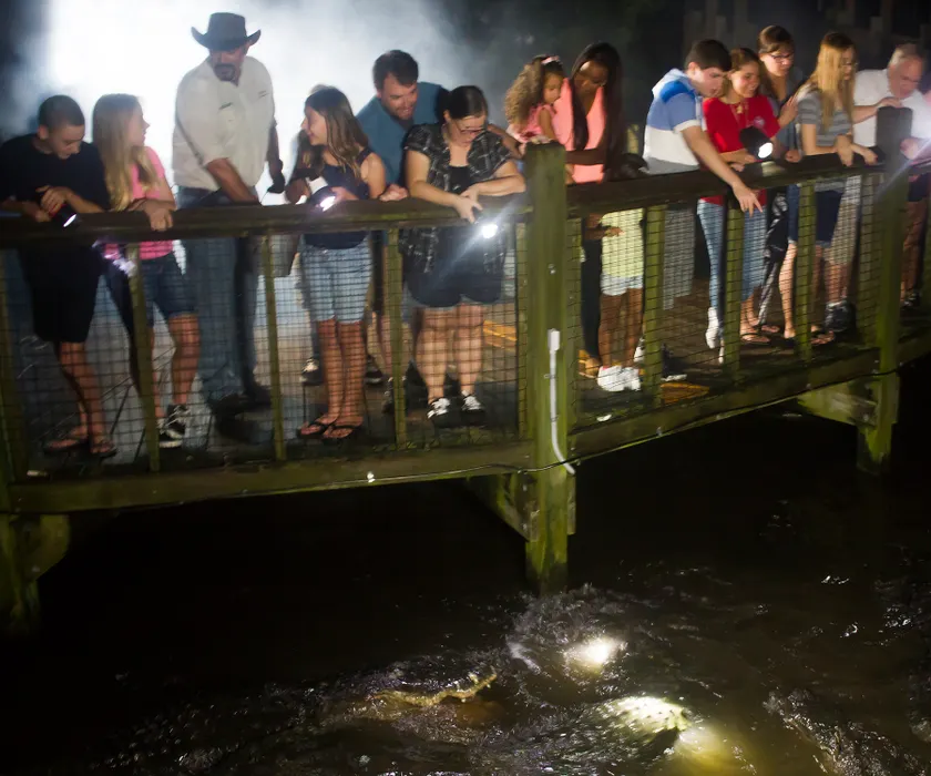 Gator Nightshine Experience
