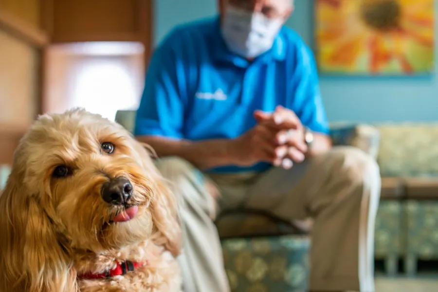 Dog Therapy