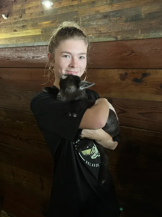 Image 31