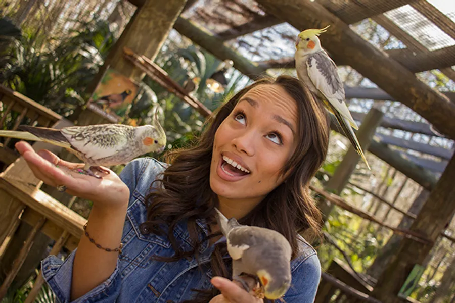 Animal Encounter