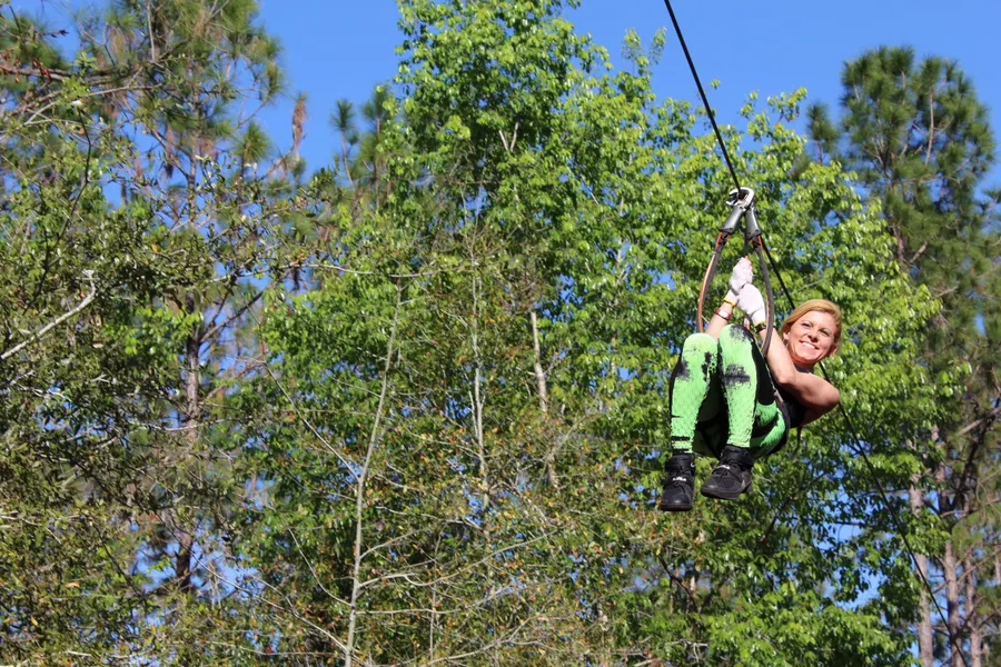 Tree Trek
